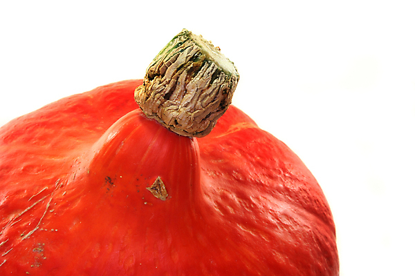 포토 JPG 해외이미지 음식 다이어트 오렌지 과일 호박 건강 사람없음 신선 원형 홋카이도 매움 비타민 내추럴 채식주의자 맛있는 해외포토 도형 채소 일본 맛 채식 영양소 파일형식 이미지허브