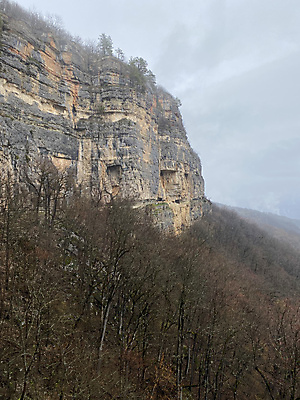 포토 JPG 해외이미지 주간 나무 야생동물 자연 날씨 사람없음 야외 평화 환경 봄 닫기 숲 자연백그라운드 지역 서식지 산악지대 땅바닥 삼림지대 해외포토 자연요소 식물 동물 계절 백그라운드 컨셉 모션 산 바닥 생태계 파일형식 이미지허브