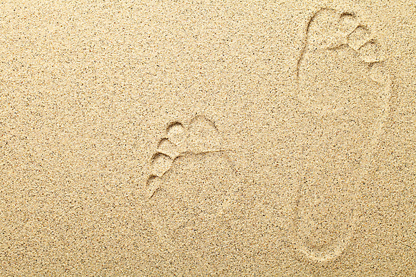 포토 JPG 해외이미지 모래 바다 백그라운드 패턴 자연 벽지 표면 휴가 사람없음 야외 여름 빛 모래사장 우주 산책 사막 황금 인쇄 발자국 모래언덕 묘사 흔적 질감 내추럴 양발 카피스페이스 해외포토 계절 무늬 자국 휴식 공백 언덕 생태계 파일형식 이미지허브