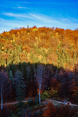 포토 JPG 해외이미지 전통 유럽 여행 백그라운드 자연 하늘 산 주택 풍경 초원 사람없음 야외 건물 목재 파란색 농가 농장 마을 계곡 수확 가을 시골 소나무 정상 숲 오두막 언덕 그림 시골집 루마니아 샬레 옛날 해외포토 나무 건축물 계절 나라 컬러 농업 재료 실험기구 생태계 파일형식 이미지허브