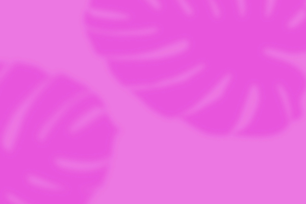 포토 JPG 해외이미지 식물 디자인 꽃 화초 벽 분홍색 백그라운드 컨셉 잎 패턴 자연 아침 추상 조명 아파트 실내 그림자 사람없음 내부 빛 태양 우주 정원 보라색 벚꽃 광선 흰색 신선 천 유기농 질감 목각 내추럴 콘크리트 해외포토 주간 자연요소 웰빙 컬러 무늬 주택 직물 생태계 파일형식 이미지허브