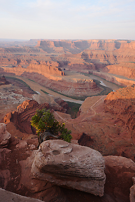 포토 JPG 해외이미지 나무 사람없음 골짜기 사막 암벽 해외포토 식물 자연 파일형식 이미지허브