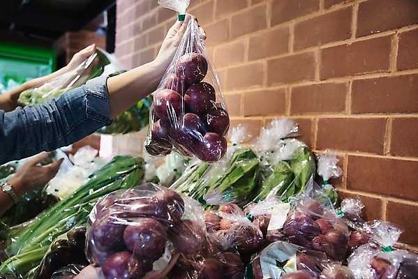 포토 JPG 해외이미지 라이프스타일 잡화 여자 행복 음식 다이어트 채소 가방 과일 건강 사람 성인 사람없음 바구니 상점 카트 샐러드 신선 시장 선택 구매 상품 가득함 고객 유기농 소매 슈퍼마켓 내추럴 바이오 해외포토 웰빙 감정 컨셉 생활 쇼핑 파일형식 이미지허브