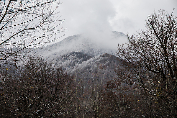 포토 JPG 해외이미지 나무 구름 계절 도로 여행 백그라운드 크리스마스 겨울 자연 하늘 동화 휴가 스키 새로움 산 파노라마 풍경 사람없음 야외 목재 환경 냉동 얼음 추위 안개 덮개 백발 흰색 나뭇가지 전원 숲 연도 서리 전나무 눈보라 산악지대 뿌연 아제르바이잔 절정 폭설 눈내림 해외포토 자연요소 식물 헤어스타일 기념일 나라 길 컬러 컨셉 재료 교통시설 날씨 겨울스포츠 눈_날씨 촬영기법 뚜껑 전기에너지 자연재해 생태계 파일형식 이미지허브