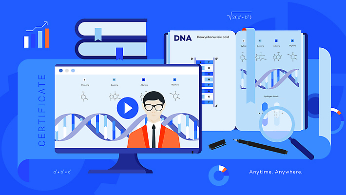 포토 JPG 해외이미지 학생 교육 백그라운드 운동화 컨셉 일러스트 학교 주택 아이디어 사람없음 파란색 학습 스터디 교사 플랫 대학교 온라인 해결 온라인강의 증명서 해외일러스트 직업 컬러 신발 건물 강의 파일형식 언택트 이미지허브