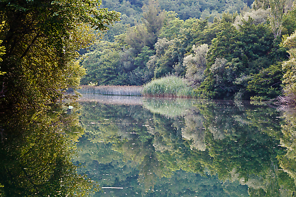 포토 JPG 해외이미지 나무 식물 공원 유럽 호수 자연 표면 휴가 항해 갈대 풍경 사람없음 초록색 물 빛 강 컬러풀 뷰티 반사 여행객 거울 시골 연못 개울 황무지 숲 강가 지중해 순수 에메랄드 장면 크로아티아 다리찢기 터키석 해외포토 자연요소 공공시설 나라 바다 컬러 컨셉 배_교통 모션 사람 보석 생태계 파일형식 이미지허브