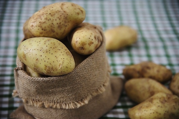 포토 JPG 해외이미지 식물 음식 백그라운드 농업 다이어트 채소 가방 자연 감자 따뜻함 건강 요리 사람없음 빛 농장 흰색 신선 삼베 준비 유기농 뿌리 자루 내추럴 고립 녹말 생식 숙성 채식주의자 해외포토 웰빙 잡화 산업 컬러 생태계 채식 파일형식 천_직물 이미지허브
