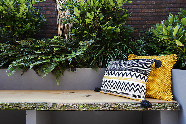 포토 JPG 해외이미지 라이프스타일 디자인 가구 백그라운드 쿠션 패턴 벤치 의자 베개 침구 휴가 휴식 아파트 주택 실내 사람없음 야외 내부 목재 장식 빨간색 소파 독서 유행 우주 정원 카페 방 모서리 고급 부드러움 리빙 스타일 안락 해외포토 나무 컬러 생활용품 컨셉 무늬 재료 건물 생활 상점 감각 파일형식 이미지허브