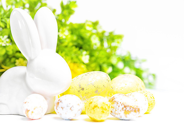 포토 JPG 해외이미지 전통 디자인 계절 행복 종교 음식 백그라운드 컨셉 텍스트 탁자 휴가 부활절 미술 사람없음 목재 장식 초록색 파란색 컬러풀 노란색 우주 계란 축제 봄 흰색 시골 축하 인사 신용카드 그리기 심볼 질감 사냥 파스텔톤 해외포토 나무 기념일 감정 컬러 가구 재료 모션 문화예술 금융 알 예절 파일형식 이미지허브