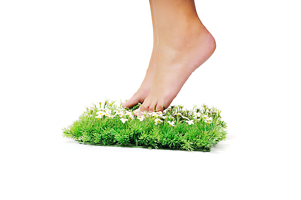 포토 JPG 해외이미지 여자 꽃 신체 부분 손가락 발 자연 휴가 휴식 건강 사람없음 치료 초록색 여름 뷰티 스파 봄 자유 벚꽃 흰색 신선 못 날씬함 피부 만족 데이지 부드러움 발가락 내추럴 벌거벗은 양발 오아시스 페디큐어 안락 해외포토 식물 손 계절 감정 컬러 컨셉 의학 사람 신체부위 공구 감각 몸매 생태계 파일형식 이미지허브