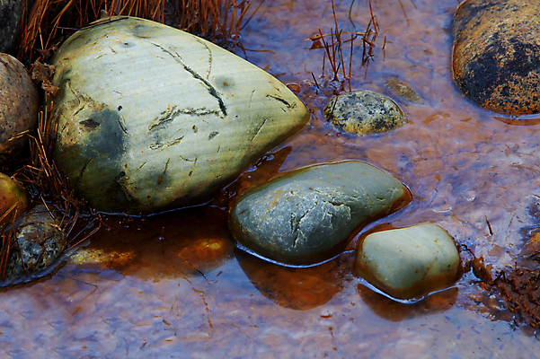 포토 JPG 해외이미지 식물 야생동물 모래 바다 줄기 백그라운드 잎 패턴 자연 노르웨이 풍경 사람없음 빨간색 물 파란색 빛 컬러풀 반사 노란색 평화 검은색 어둠 활발 회색 가을 바위 흰색 숲 파운드 밀짚 해외포토 자연요소 동물 계절 유럽 컬러 컨셉 돈 무늬 돌_바위 짚 생태계 파일형식 이미지허브