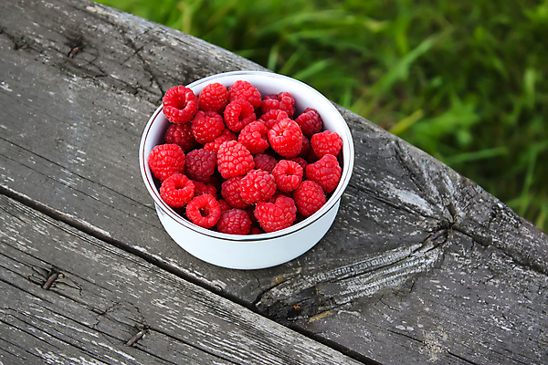 포토 JPG 해외이미지 식물 열매 음식 백그라운드 잎 다이어트 과일 재료 자연 디저트 건강 사람없음 컵 가로 빨간색 여름 컬러풀 바구니 정원 활발 수확 성장 신선 달콤 맛 잼 질감 날것 산딸기 비타민 내추럴 숙성 채식주의자 많음 해외포토 식기 계절 컬러 컨셉 농업 소스_음식 생태계 채식 영양소 파일형식 이미지허브