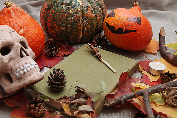 포토 JPG 해외이미지 디자인 백그라운드 단풍 잎 오렌지 자연 호박 휴가 사람없음 목재 책 빨간색 초록색 갈색 노란색 머리 검은색 할로윈 나뭇가지 소나무 빗자루 준비 마녀 잭 원뿔 10월 내추럴 구성 정물화 해골모형 카피스페이스 해외포토 도형 나무 식물 컬러 채소 과일 재료 신체부위 모형 공백 날짜 청소도구 그림 생태계 파일형식 이미지허브