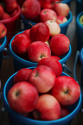 포토 JPG 해외이미지 과일 실내 사람없음 아웃포커스 바구니 사과 소프트포커스 담기 해외포토 모션 촬영기법 내부 파일형식 이미지허브