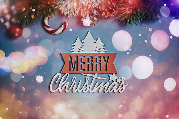 포토 JPG 해외이미지 나무 디자인 계절 행복 별 백그라운드 컨셉 크리스마스 겨울 탁자 휴가 새로움 프레임 사탕 선물 사람없음 목재 장식 축제 화환 수확 흰색 나뭇가지 시골 축하 인사 소나무 신용카드 황금 12월 연도 질감 엽서 초대 전나무 내추럴 목업 가문비나무 힙스터 플랫레이 카피스페이스 해외포토 자연요소 식물 패션 기념일 꽃 감정 컬러 가구 농업 재료 디저트 금융 공백 예절 날짜 플랫 편지 파일형식 이미지허브