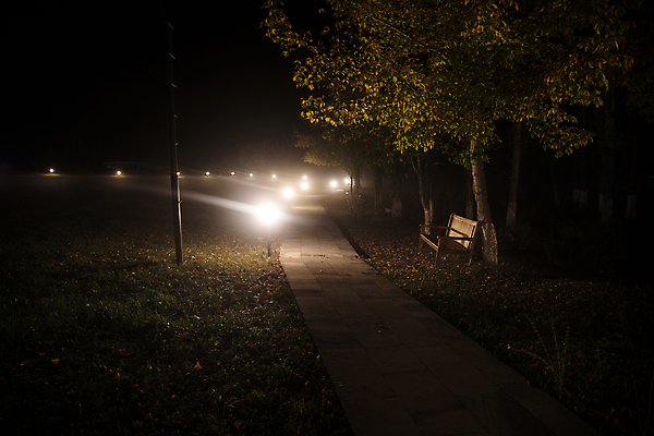 포토 JPG 해외이미지 나무 계절 공원 도로 길 여행 백그라운드 잎 밭 가로등 벤치 자연 조명 거리 따뜻함 그림자 사람 풍경 사람없음 야외 빛 도시풍경 정원 검은색 어둠 새벽 젖음 안개 가을 나뭇가지 등불 램프 도시 황금 야간 저녁 숲 장면 암초 빛망울 뿌연 점화 해외포토 자연요소 식물 공공시설 컬러 농업 의자 교통시설 날씨 생태계 파일형식 이미지허브