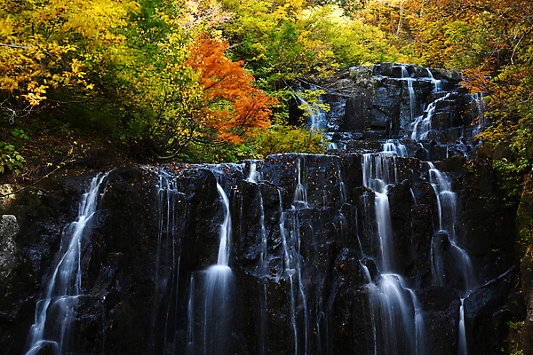 포토 JPG 해외이미지 식물 여행 단풍 잎 2 자연 산 풍경 사람없음 야외 빨간색 물 강 노란색 여행객 골짜기 계곡 일본 폭포 흐름 가을 개울 해외포토 자연요소 계절 아시아 컬러 컨셉 사람 생태계 파일형식 이미지허브