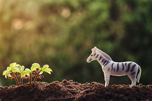 포토 JPG 해외이미지 동물 공원 아시아 도로 야생동물 어린이 백그라운드 포유류 가족 모션 아프리카 자연 하늘 동물원 미술 동양인 사람없음 야외 장난감 걷기 힘 일몰 사막 기둥 그룹 우아함 큼 사파리 캔버스 먼지 얼룩말 내추럴 고립 동물상 힘찬 해외포토 공공시설 건축 나라 길 컨셉 관계 교통시설 문화예술 사람 인종 조형물 노을 말_동물 크기 생태계 파일형식 이미지허브
