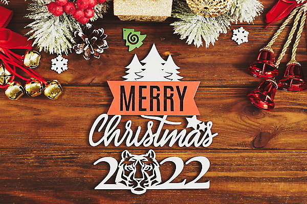 포토 JPG 해외이미지 나무 디자인 계절 리본 백그라운드 크리스마스 겨울 패턴 텍스트 자연 탁자 휴가 새로움 주택 프레임 사탕 사람없음 목재 장식 빨간색 초록색 장난감 갈색 우주 축제 장식볼 수확 흰색 시골 축하 소나무 연도 심볼 전나무 구성 옛날 가문비나무 국경 해외포토 식물 기념일 컬러 가구 컨셉 무늬 농업 재료 디저트 건물 생태계 파일형식 이미지허브