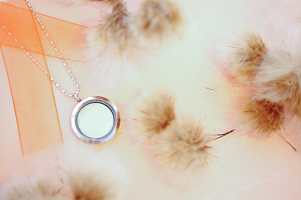 포토 JPG 해외이미지 디자인 꽃 리본 백그라운드 오렌지 목걸이 장신구 유리 선물 사람없음 장식 빛 뷰티 유행 금속 수확 반지 원형 화려 재산 고급 우아함 은색 크리스탈 보석 묘사 다이아몬드 보물 고립 구식 백금 팬던트 해외포토 도형 식물 컬러 컨셉 농업 과일 재질 금융 광석 파일형식 이미지허브