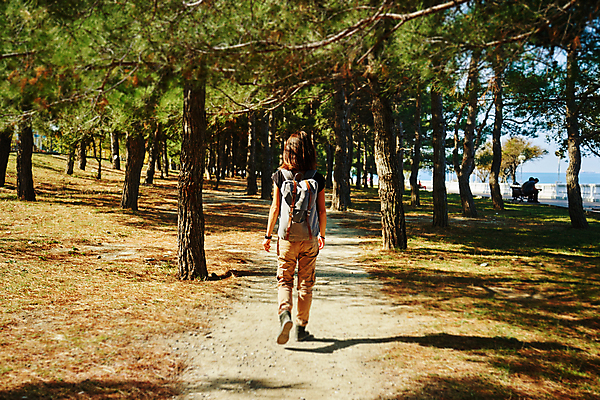포토 JPG 해외이미지 나무 1 라이프스타일 여자 길 여행 배낭 자연 한명 사람 성인 야외 목재 여행객 걷기 하이킹 숲 방법 하이커 해외포토 식물 가방 재료 모션 레저 생활 생태계 파일형식 이미지허브