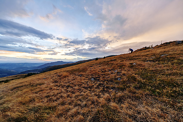 포토 JPG 해외이미지 나무 계절 공원 여행 오렌지 자연 하늘 산 사람없음 야외 초록색 파란색 빛 햇빛 태양 우주 일출 환경 일몰 봄 황금 숲 언덕 내추럴 세르비아 전국 해외포토 자연요소 식물 공공시설 컬러 과일 노을 생태계 파일형식 이미지허브