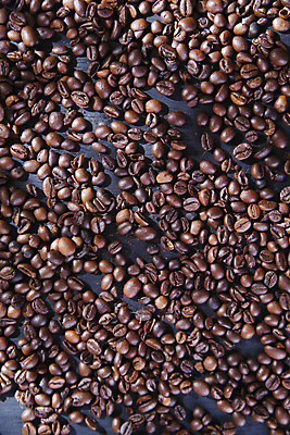 포토 JPG 해외이미지 커피 음료 음식 백그라운드 농업 재료 탁자 아침 콩 씨앗 사람없음 갈색 검은색 어둠 그룹 맛 아침식사 굽기 만취 오브젝트 질감 향기 내추럴 고립 카페인 해외포토 주간 식물 산업 컬러 가구 컨셉 곡류 식사 구이 냄새 술취함 파일형식 이미지허브