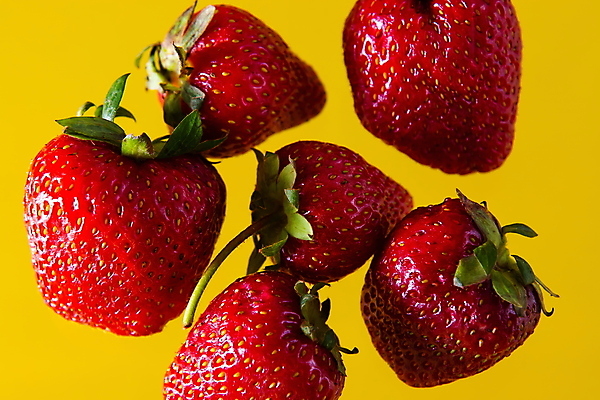 포토 JPG 해외이미지 디자인 열매 음식 조각 백그라운드 과일 재료 포장 딸기 디저트 건강 사람없음 빨간색 초록색 노란색 활발 흰색 신선 그룹 달콤 자르기 오브젝트 유기농 날것 덩어리 고립 구역 숙성 엘리먼트 핵심 개조 해외포토 식물 웰빙 컬러 컨셉 모션 맛 파일형식 이미지허브