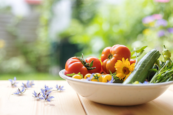 포토 JPG 해외이미지 라이프스타일 꽃 지구 음식 농업 토마토 채소 건강 종류 사람없음 초록색 농장 정원 수확 시골 신선 도시 변화 시장 맛 허브 에코 유기농 원예 오르기 지역 내추럴 뒤뜰 밭일 생태학 숙성 영양분 비건 해외포토 식물 웰빙 교육 산업 컬러 컨셉 모션 취미 생활 환경 채식주의자 파일형식 이미지허브