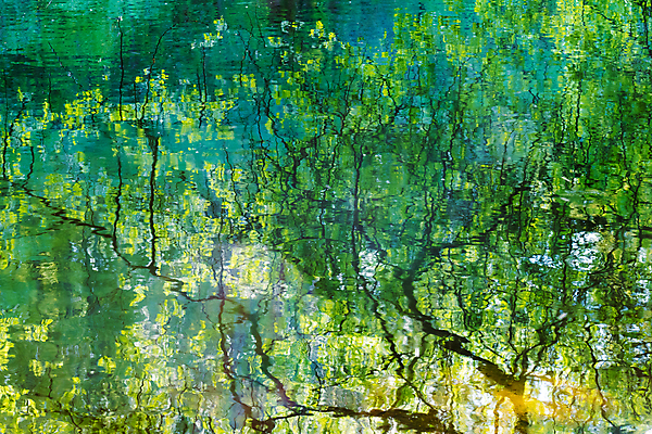 포토 JPG 해외이미지 나무 호수 백그라운드 잎 자연 추상 매달리기 사람없음 초록색 물 빛 반사 평화 나뭇가지 버드나무 해외포토 자연요소 식물 컬러 컨셉 무늬 모션 생태계 파일형식 이미지허브