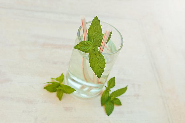 포토 JPG 해외이미지 라이프스타일 음료 컨셉 잎 다이어트 유리 건강 사람없음 초록색 물 파티 거품 회색 추위 흰색 신선 칵테일 레모네이드 민트 허브 유기농 슬라이스 레시피 모히토 소다 핸드메이드 디톡스 무알코올 스피아민트 해외포토 자연요소 식물 웰빙 컬러 재질 주류 이벤트 생활 에이드 파일형식 이미지허브