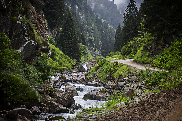 포토 JPG 해외이미지 잎 자연 산 사람없음 초록색 파란색 강 계곡 폭포 안개 소나무 암초 천국 산악지대 해외포토 나무 식물 컬러 날씨 생태계 파일형식 이미지허브
