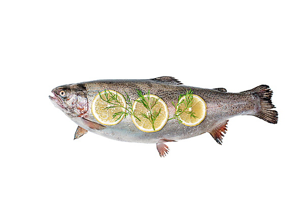 포토 JPG 해외이미지 동물 1 길 음식 바다 백그라운드 다이어트 재료 낚시 건강 육류 어류 사람없음 옆모습 가로 반려동물 머리 식사 흰색 신선 큼 자르기 먹기 가득함 해산물 피부 오브젝트 흰배경 유기농 날것 지느러미 연어 길이 고립 송어 오메가 스코틀랜드 해외포토 웰빙 뷰포인트 컬러 식재료 모션 레저 영국 신체부위 수중동물 크기 파일형식 이미지허브