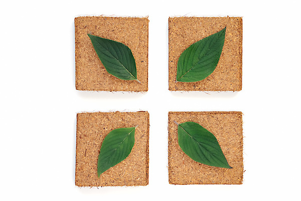 포토 JPG 해외이미지 식물 음식 백그라운드 잎 농업 채소 자연 건강 사람없음 초록색 농작물 환경 정원 흙 신선 도시 에코 유기농 원예 지역 유지 거름 고립 밭일 생태학 세이지 원예사 해외포토 직업 웰빙 교육 산업 컬러 취미 생태계 파일형식 이미지허브