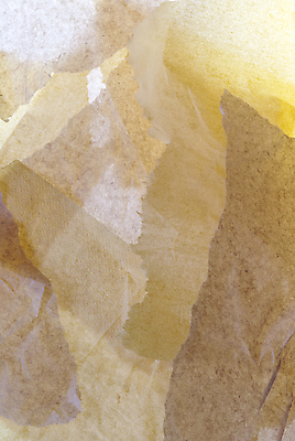 포토 JPG 해외이미지 종이 백그라운드 패턴 오렌지 추상 사람없음 흰색 조직 가장자리 찢어짐 해외포토 컬러 무늬 과일 모션 둘레 파일형식 이미지허브