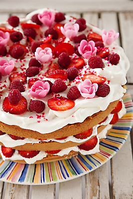 포토 JPG 해외이미지 접시 꽃 어린이 음식 분홍색 조각 다이어트 과일 탁자 딸기 디저트 발렌타인데이 사람없음 목재 장식 빨간색 컬러풀 장미 파티 케이크 흰색 대접 생일 달콤 맛 설탕 비만 크림 잔치 산딸기 층 해로움 막 맛있는 해외포토 나무 식물 식기 기념일 컬러 가구 컨셉 재료 데이이벤트 건강 사람 이벤트 몸매 파일형식 이미지허브