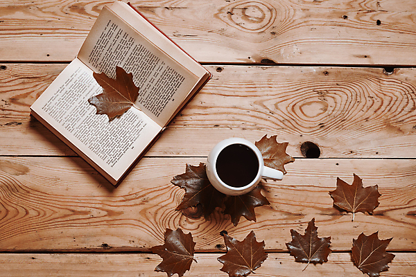 포토 JPG 해외이미지 커피 단풍 낙엽 실내 사람없음 책 하이앵글 오브젝트 나무배경 해외포토 음료 뷰포인트 백그라운드 잎 내부 파일형식 이미지허브