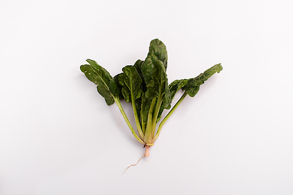 포토 JPG 해외이미지 식물 1 물결 음식 백그라운드 잎 농업 다이어트 채소 재료 자연 아이디어 건강 사람없음 목재 초록색 물 빛 거품 샐러드 젖음 흰색 물방울 신선 액체 떨어짐 씻기 자르기 인도인 편지 허브 유기농 포도나무 시금치 내추럴 고립 채식주의자 그리너리 해외포토 자연요소 외국인 나무 웰빙 산업 컬러 컨셉 모션 동양인 청결 과일나무 생태계 채식 파일형식 트랜드컬러 이미지허브