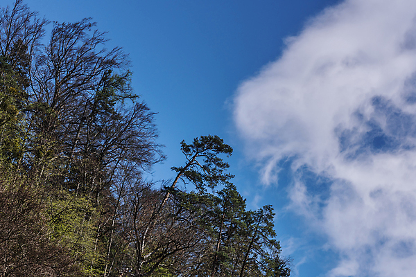 포토 JPG 해외이미지 구름 계절 공원 여행 잎 밭 자연 산 파노라마 풍경 초원 사람없음 초록색 여름 빛 태양 뷰티 일출 맑음 일몰 봄 새벽 하이킹 장비 바위 숲 시력 장면 주말 천국 내일 옛날 수평선 해외포토 자연요소 식물 공공시설 컬러 농업 레저 날씨 촬영기법 노을 돌_바위 생태계 파일형식 이미지허브