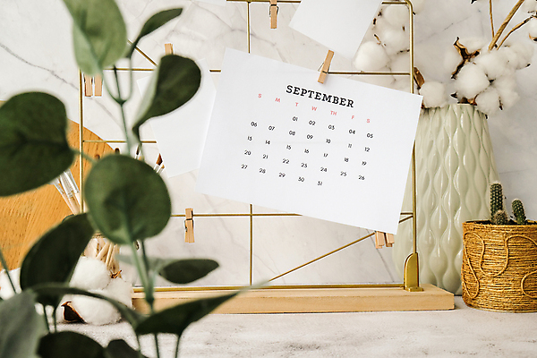 포토 JPG 해외이미지 화분 종이 선인장 실내 사람없음 달력 소프트포커스 오브젝트 메모보드판 목화꽃 선인장화분 유칼립투스 목화솜 해외포토 식물 꽃 촬영기법 내부 솜 파일형식 이미지허브