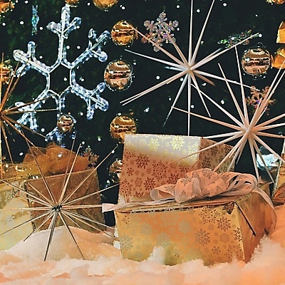 포토 JPG 해외이미지 나무 전통 디자인 계절 행복 리본 종이 백그라운드 크리스마스 겨울 공 휴가 전등 새로움 선물 사람없음 목재 장식 빨간색 빛 상자 파티 축제 놀람 수확 흰색 나뭇가지 축하 인사 신용카드 황금 소프트포커스 연도 활 전나무 카피스페이스 해외포토 식물 기념일 감정 컬러 컨셉 농업 재료 조명 촬영기법 표정 이벤트 금융 공백 예절 파일형식 이미지허브