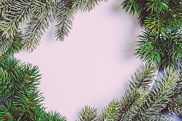 포토 JPG 해외이미지 나무 디자인 계절 행복 별 백그라운드 크리스마스장식 크리스마스 겨울 탁자 추상 휴가 새로움 프레임 선물 사람없음 목재 장식 가로 빨간색 빛 축제 수확 흰색 나뭇가지 시골 축하 인사 소나무 신용카드 눈송이 황금 소프트포커스 12월 연도 보케 전나무 카피스페이스 국경 해외포토 자연요소 식물 기념일 감정 컬러 가구 컨셉 무늬 농업 재료 눈_날씨 촬영기법 금융 공백 예절 날짜 파일형식 이미지허브