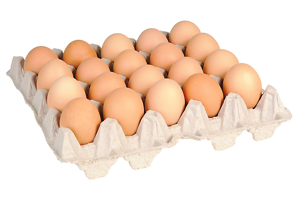 포토 JPG 해외이미지 실내 사람없음 계란 흰배경 계란판 해외포토 백그라운드 내부 알 흰색 파일형식 이미지허브