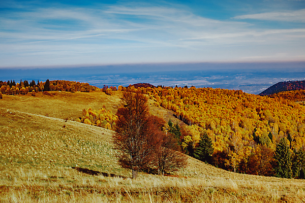 포토 JPG 해외이미지 전통 유럽 여행 백그라운드 자연 하늘 산 주택 풍경 초원 사람없음 야외 건물 목재 파란색 농가 농장 마을 계곡 수확 가을 시골 소나무 정상 숲 오두막 언덕 그림 시골집 루마니아 샬레 옛날 해외포토 나무 건축물 계절 나라 컬러 농업 재료 실험기구 생태계 파일형식 이미지허브