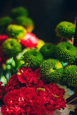 포토 JPG 해외이미지 식물 디자인 계절 꽃잎 꽃 꽃다발 결혼 백그라운드 잎 꽃무늬 자연 탁자 결혼식 휴가 발렌타인데이 선물 사랑 사람없음 장식 빨간색 초록색 여름 컬러풀 뷰티 침묵 봄 낭만 수확 벚꽃 흰색 시골 축하 신선 다발 배열 꽃집 약혼 내추럴 구성 파스텔톤 해외포토 감정 컬러 가구 컨셉 무늬 농업 데이이벤트 이벤트 상점 소리 생태계 약속 파일형식 이미지허브