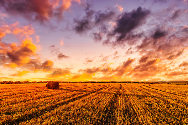 포토 JPG 해외이미지 자연 하늘 사람없음 야외 햇빛 농경지 일몰 건초더미 해외포토 태양 농장 노을 건초 생태계 파일형식 더미 이미지허브