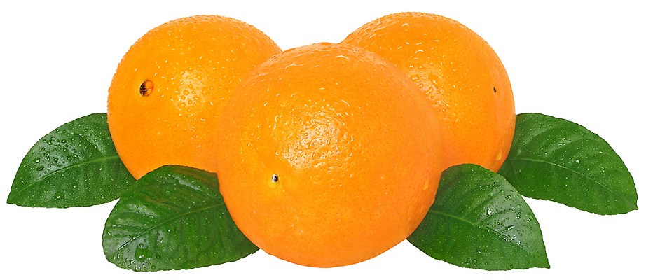 포토 JPG 해외이미지 음식 잎 오렌지 과일 귤 건강 사람없음 젖음 껍질 달콤 떨어짐 흙더미 고립 해외포토 식물 컨셉 흙 맛 파일형식 더미 이미지허브