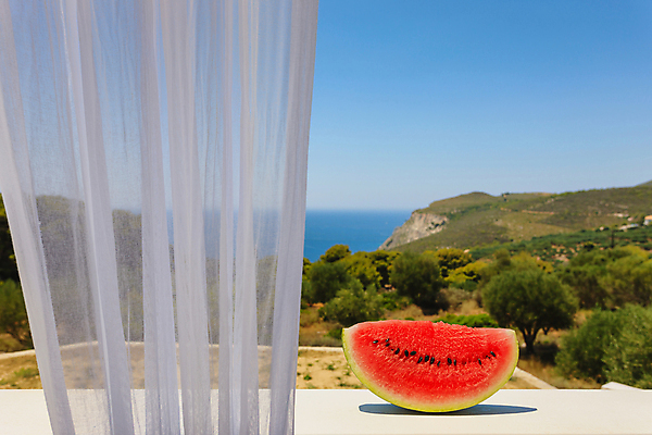 포토 JPG 해외이미지 디자인 꽃 조각 가구 건축양식 창문 부동산 수박 아파트 주택 사람없음 내부 건물 맑음 방 고급 냄비 빌라 그리스 오브젝트 렌탈 스타일 해외포토 식물 건축물 건축 유럽 생활용품 컨셉 과일 날씨 재산 솥 파일형식 이미지허브