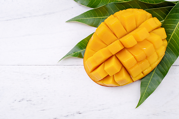 포토 JPG 해외이미지 스튜디오촬영 나뭇잎 사람없음 노란색 망고 해외포토 컬러 잎 실내 열대과일 파일형식 이미지허브