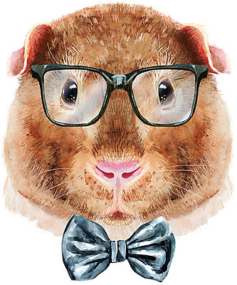 포토 JPG 해외이미지 캐릭터 안경 일러스트 나비넥타이 미술 사람없음 반려동물 돼지 기니피그 해외일러스트 동물 잡화 포유류 넥타이 문화예술 파일형식 이미지허브